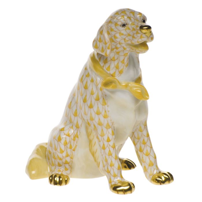 Golden Retriever-Butterscotch
