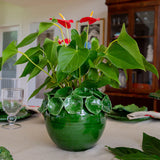 Cachepot with Petals, Green