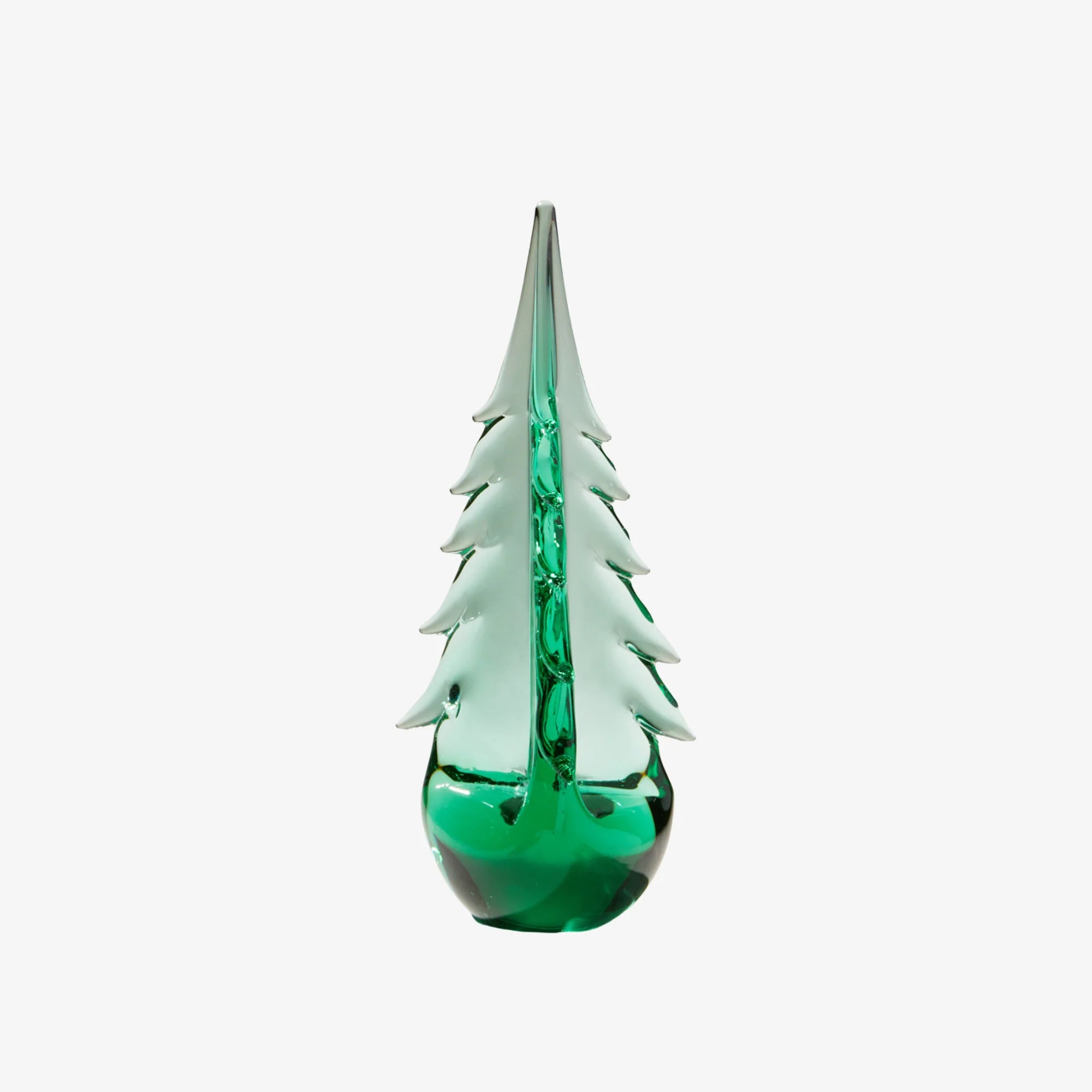 Green Mountain Evergreen - 10"