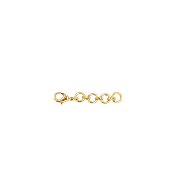 1" Chain Extender