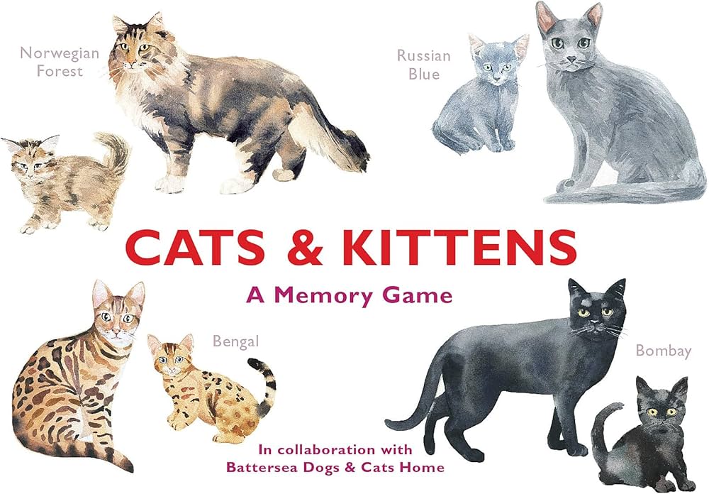 Cats & Kittens: A Memory Game