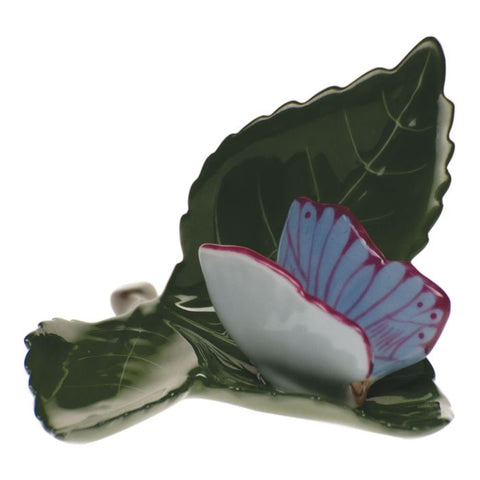 Butterfly on Leaf
