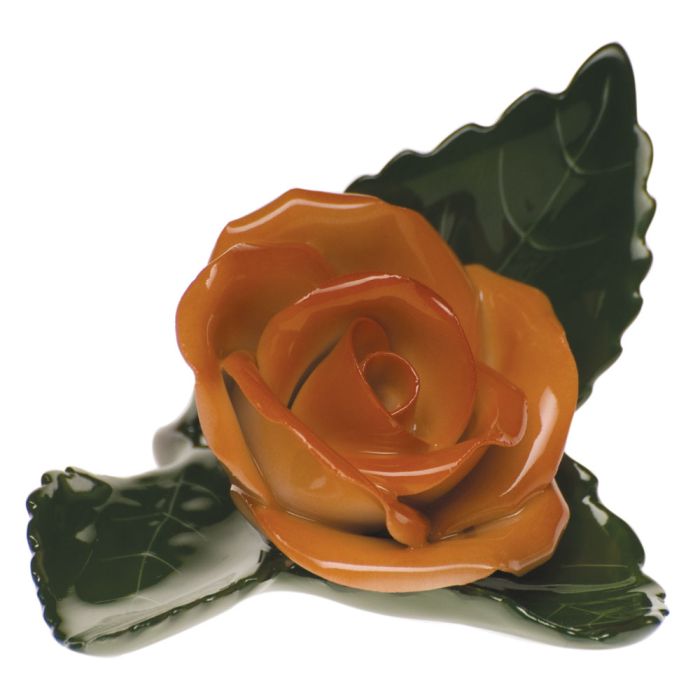 Rose on Leaf - Rust
