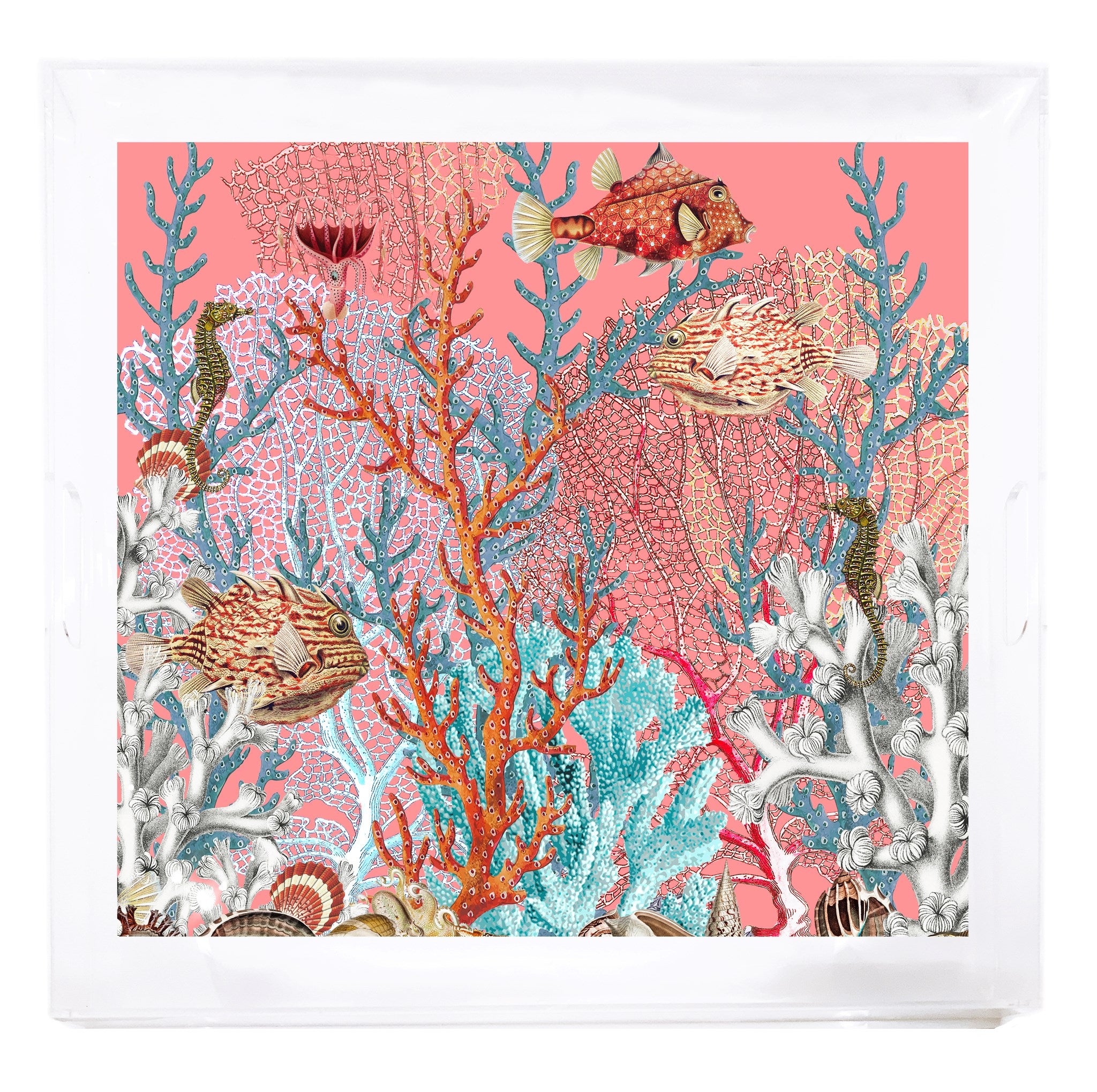 Fan Coral Reef Corallo Acrylic Tray