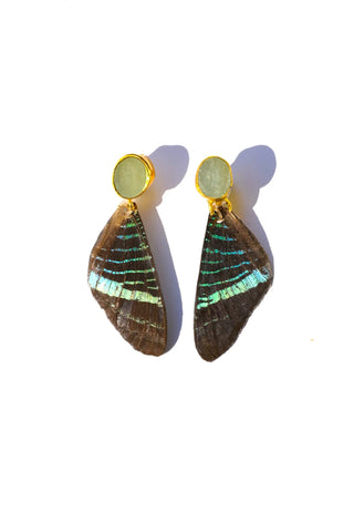 Green Banded Urania Hindwing Clip On Earring with Druzy
