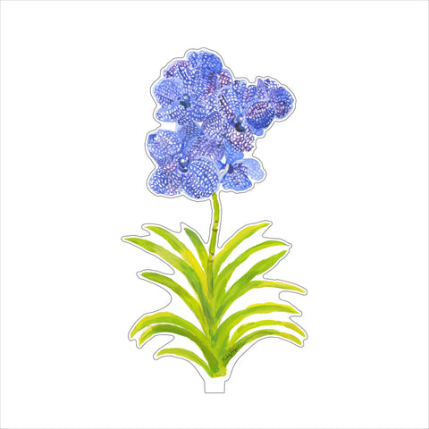 Vanda Orchid Small Acrylic Flower