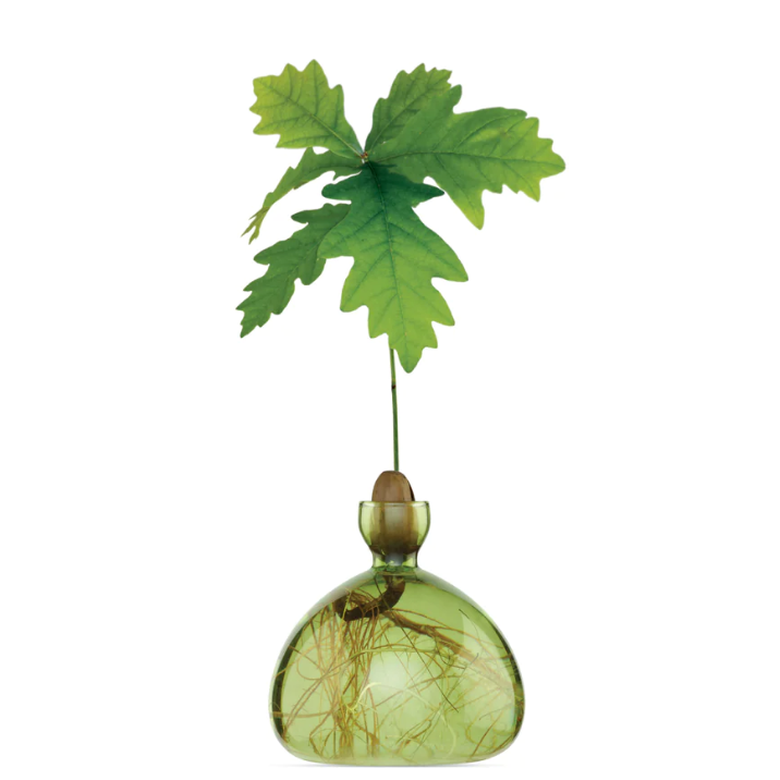 Grass Green Acorn Vase