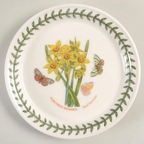 Botanic Garden Bread & Butter Plate - Narcissus Minimus