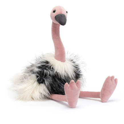 Ramonda Ostrich