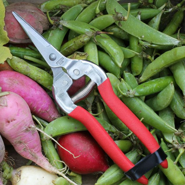 Compact Pruning Shears