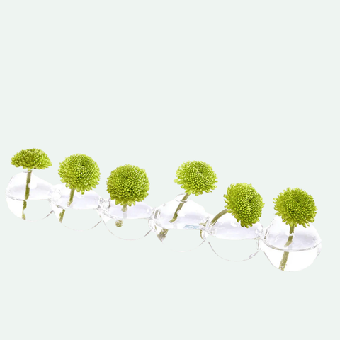 Hudson Caterpillar Vase- Small