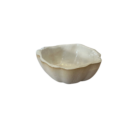 Mini Scallop Ivory