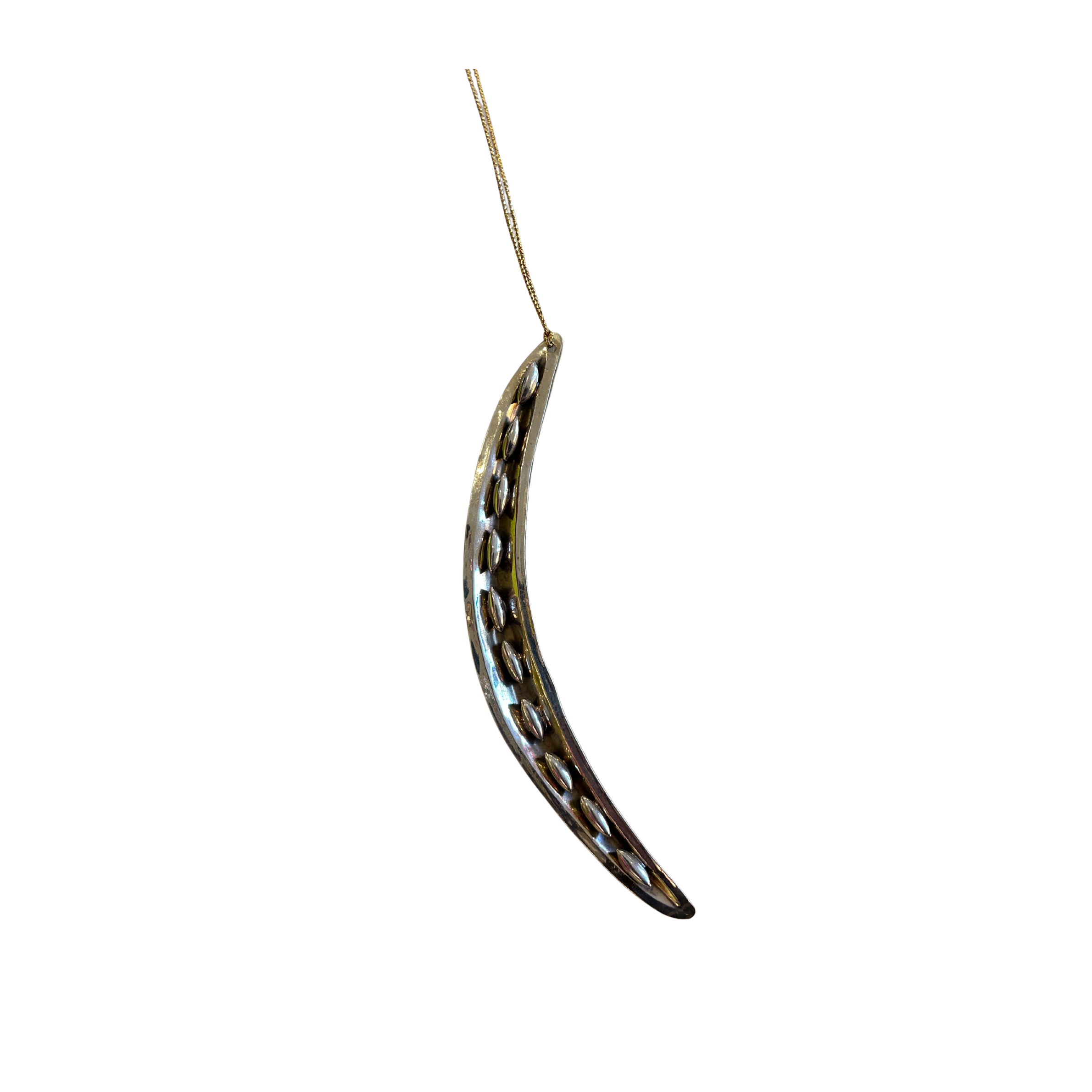 Bean Pod Ornament