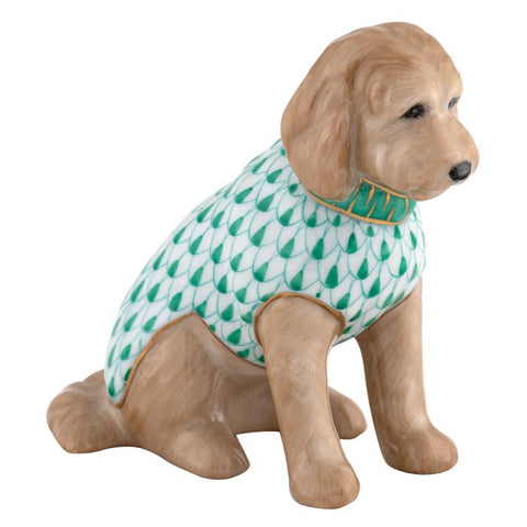 Labradoodle-Green