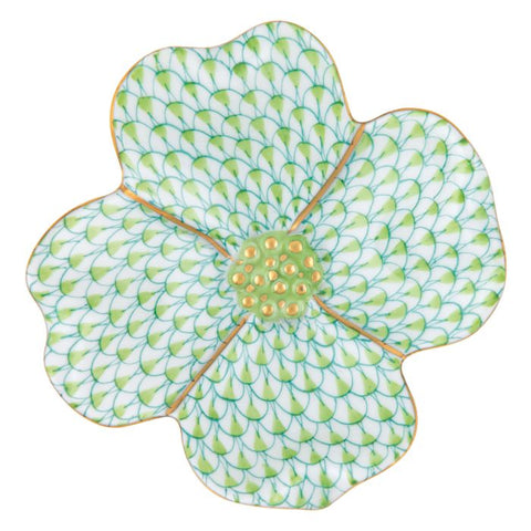 Dogwood Flower - Key Lime