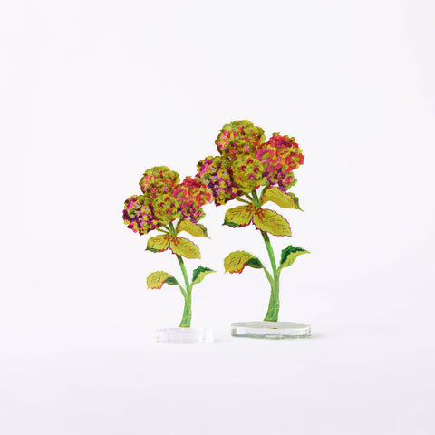 Pistachio Hydrangea Large