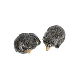 Clever Creatures  Black Bear Salt and Pepper Shakers Set/2pc
