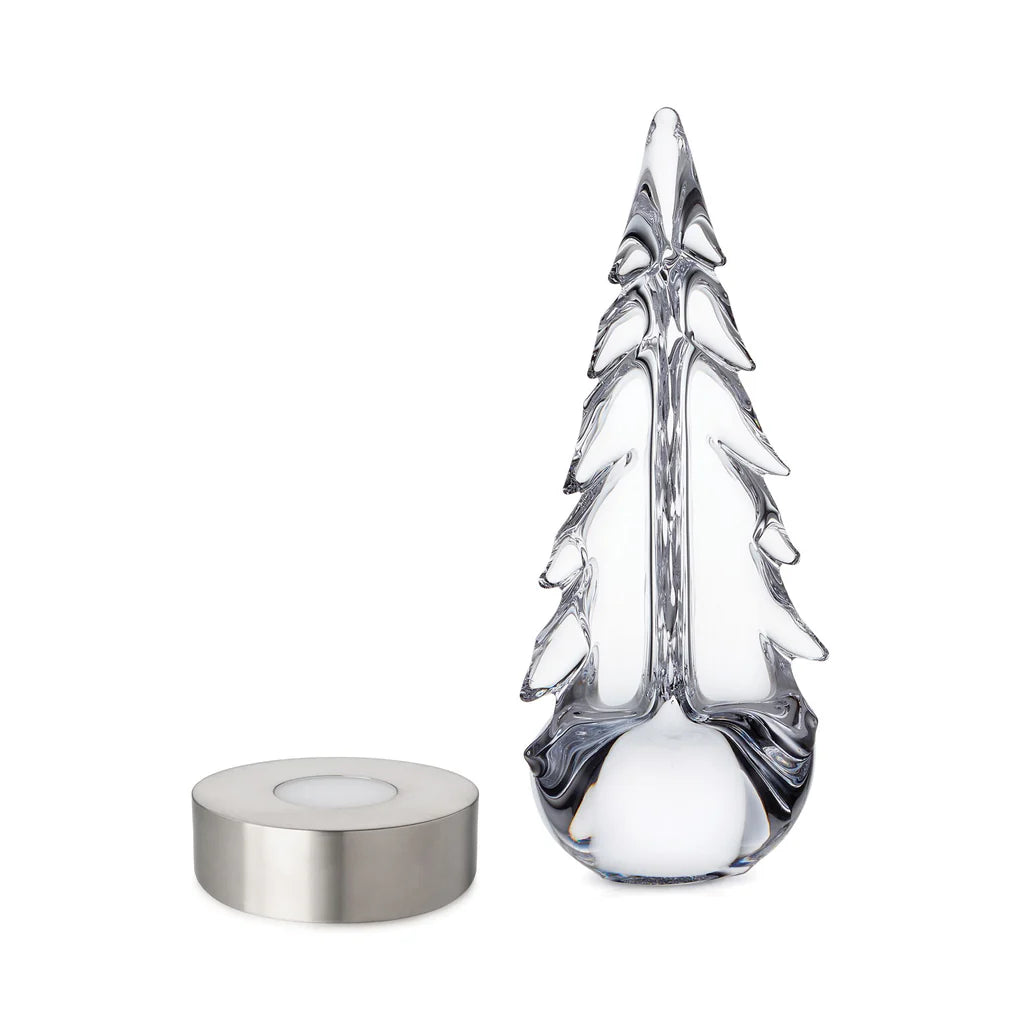 Evergreen Essentials Gift Set