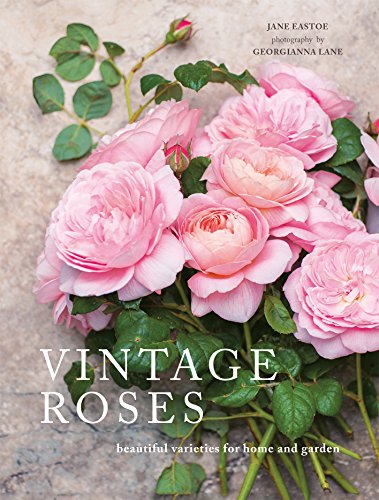 Vintage Roses Book