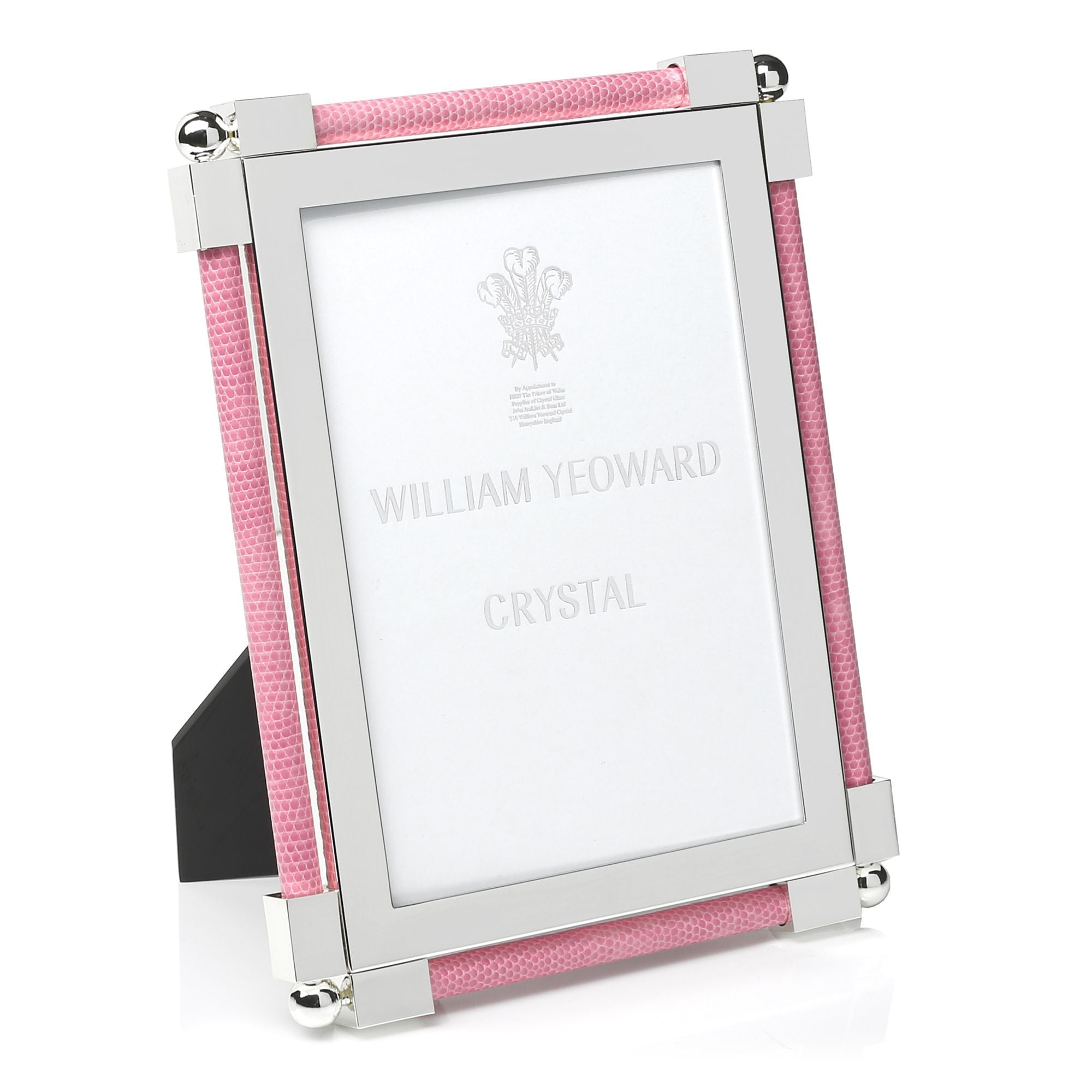 Pink Shagreen Frame