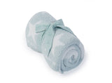 CozyChic Dream Receiving Blanket- Aqua