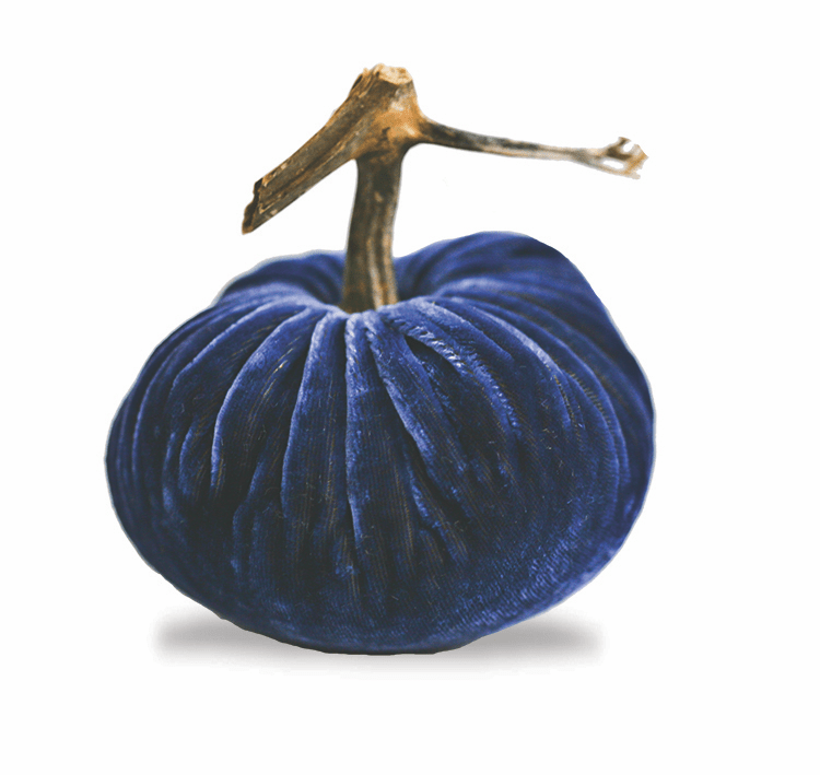 Denim Pumpkin