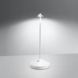 Pina Pro Table Lamp